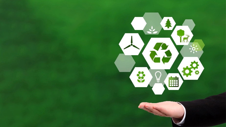 ��̼��չ����ɫ������k��Ǯ��֮�һ�&ldquo;̼�к�&rdquo;������֤