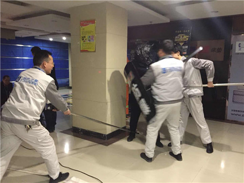 20190213143737_7pwe31x82m