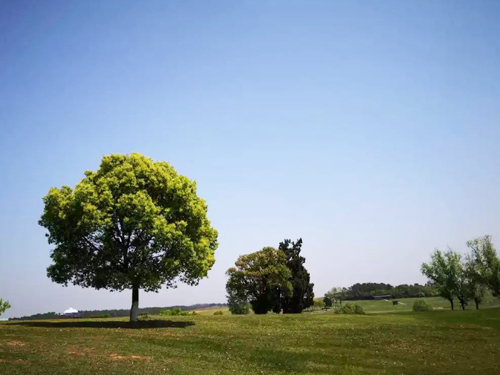 20190419114618_ts51spnfth 20190419114618_ts51spnfth