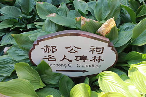 ΢ÐÅͼƬ_20190704100446 ¸±±¾.JPG