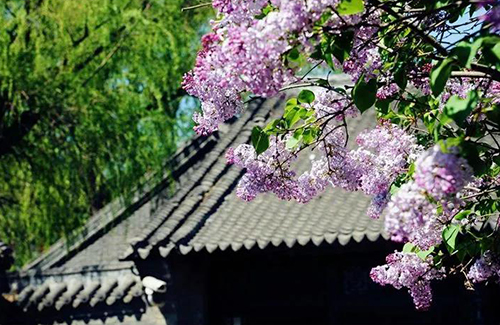 ΢ÐÅͼƬ_20190704100453 ¸±±¾.jpg