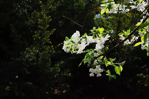 ΢ÐÅͼƬ_20190704100449 ¸±±¾.jpg